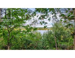 7 Lakeview Drive, Windsor, NS B0N2T0 Photo 46