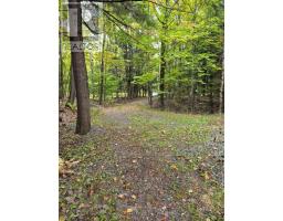 160 West Point Sands Road, Huntsville, ON P1H2J3 Photo 22
