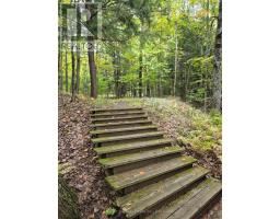 160 West Point Sands Road, Huntsville, ON P1H2J3 Photo 23