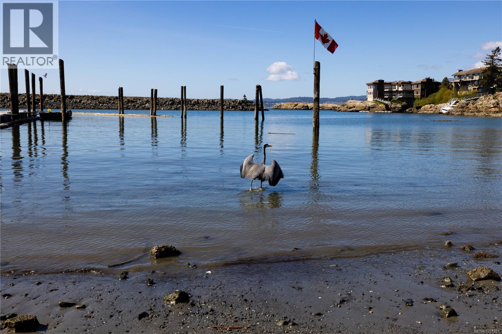 #314 1315 Esquimalt Rd - 38