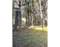 1810 Evergreen Drive, Hillcrest, AB T0K1C0 Photo 30