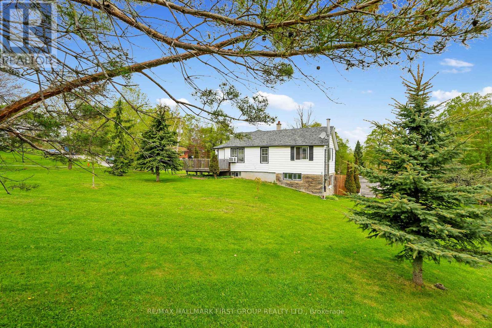 19 HALSTEAD ROAD - 44