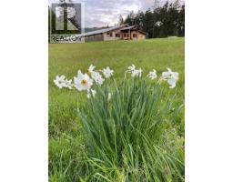 800 Lower Ganges Rd, Salt Spring, BC V8K2N5 Photo 60
