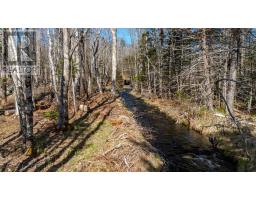 4874 Highway 340, Carleton, NS B5A5P9 Photo 14