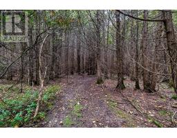 4045 Highway 2, Clarington, ON L1B0R4 Photo 34