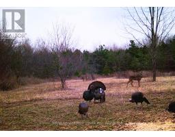 4045 Highway 2, Clarington, ON L1B0R4 Photo 38