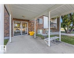 #301 11465 41 Av Nw, Edmonton, AB T6J0T9 Photo 32