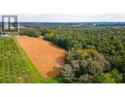 648 Concession 13 Concession, Norfolk, ON N3Y4K3 Photo 14