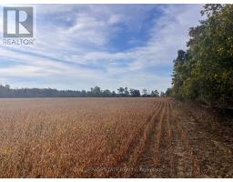 Vl Kings Row, Haldimand, ON N1A2W7 Photo 8