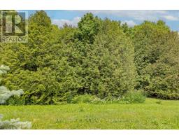 332 King Street, East Gwillimbury, ON L0G1M0 Photo 23