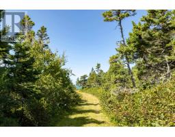 3827 Highway 1, Beaver River, NS B5A4A5 Photo 11