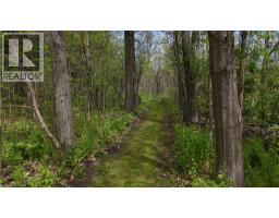 464 Piper Street, Ayr, ON N0B1E0 Photo 44