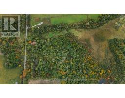 Recreational, Games room - 162 Jones Road, Cramahe, ON K0K1M0 Photo 7