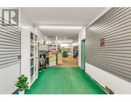 49 Cork Street E, Guelph, ON N1H2W7 Photo 6