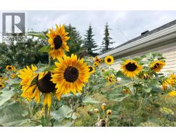 246 Mt Lorette Place SE - photo 41