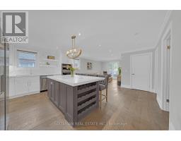 Family room - 33 Madawaska Avenue, Toronto, ON M2M2R1 Photo 7