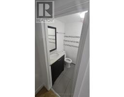 Lower 2 - 233 Ellerslie Avenue, Toronto, ON M2N1Y3 Photo 6
