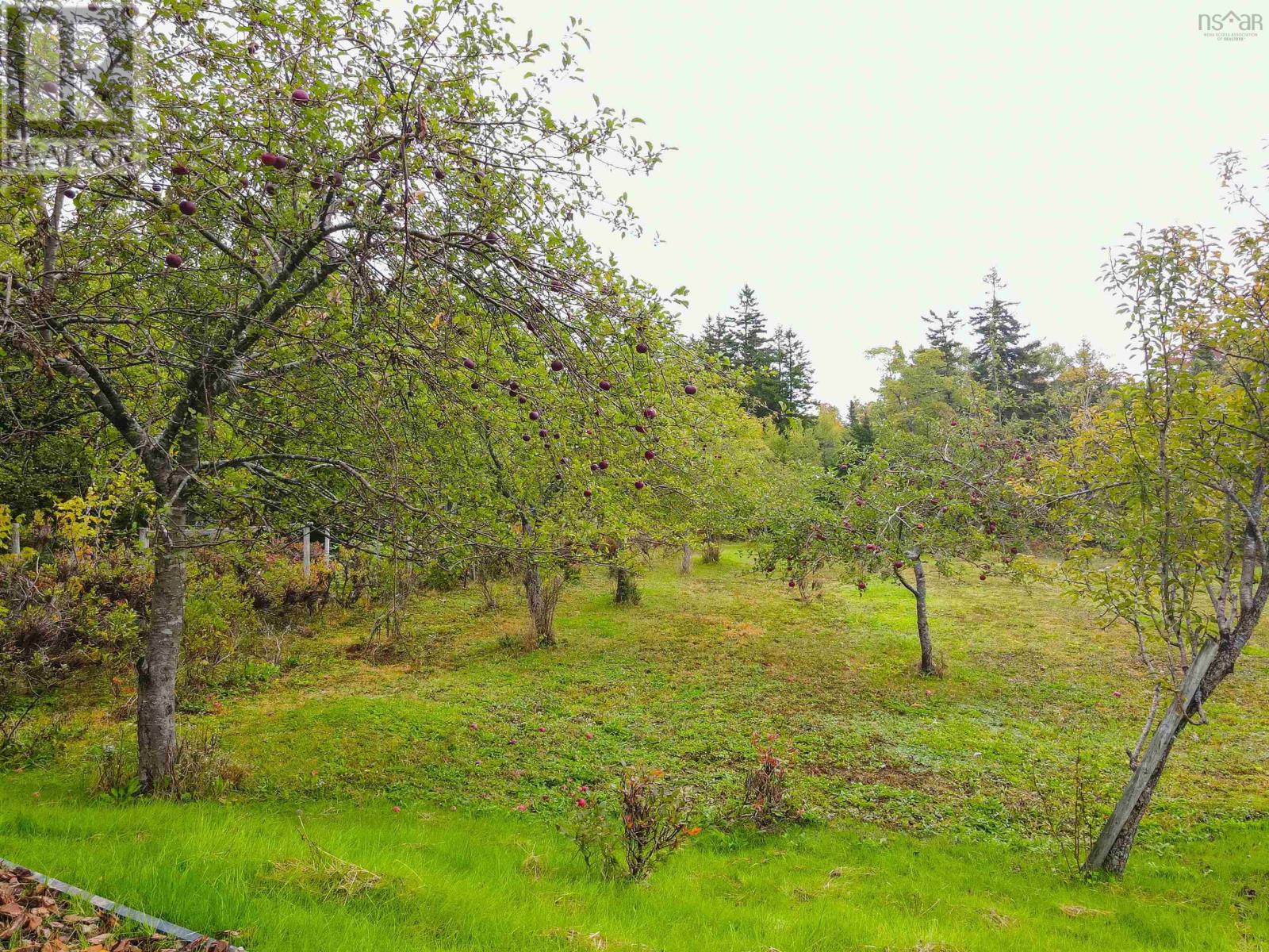 273 Highway 1 - Image 22