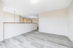 123 Blue Sun Drive, Winnipeg, MB R3X0G6 Photo 27