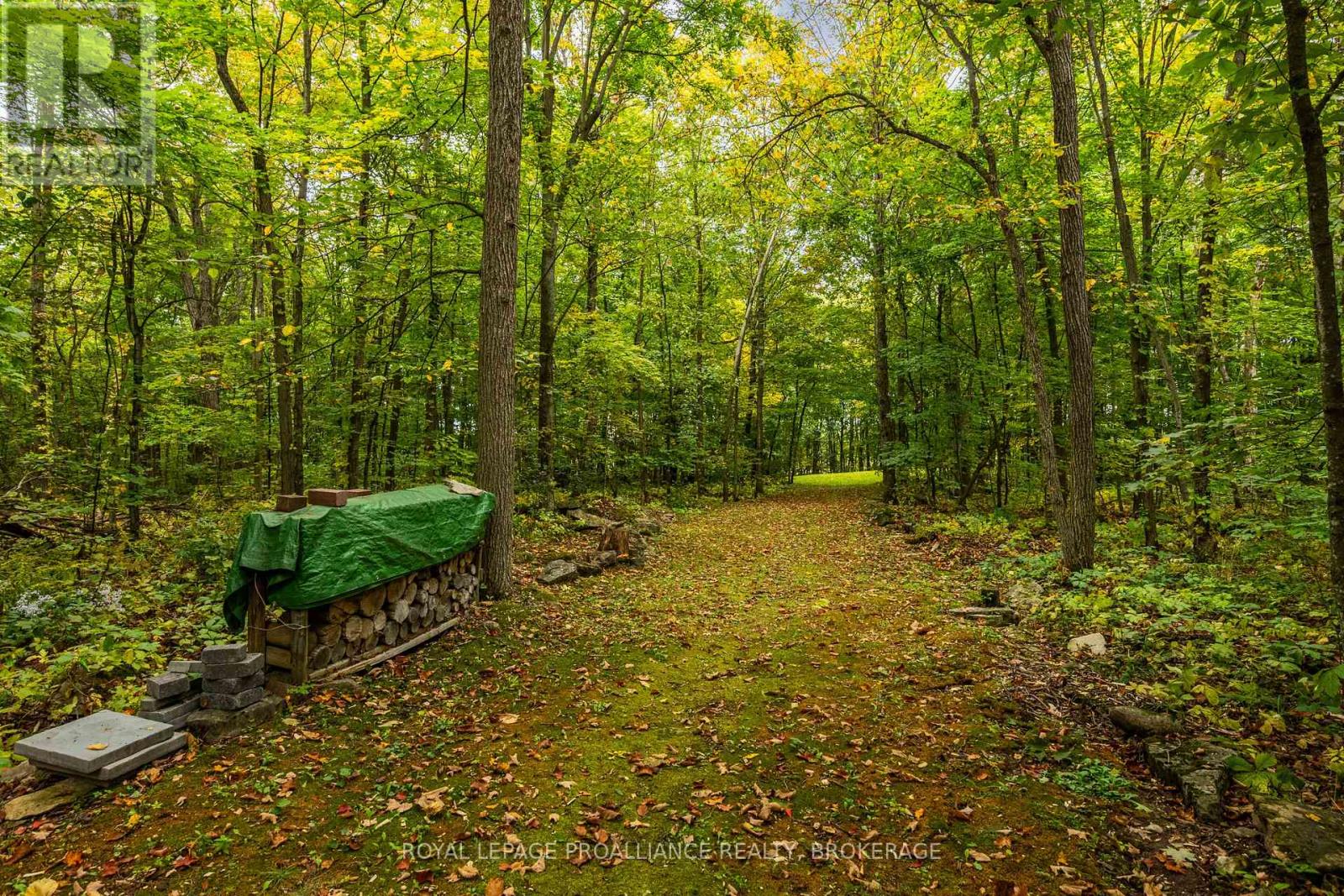 1612 GROUSEWOOD LANE - 45