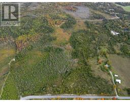 Other - 230 Baker Road, Havelock Belmont Methuen, ON K0L1Z0 Photo 10