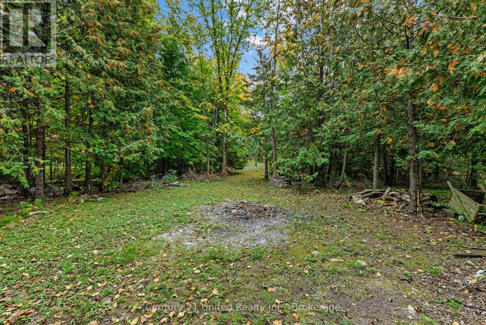 1249 BIRCHVIEW ROAD - Image 9