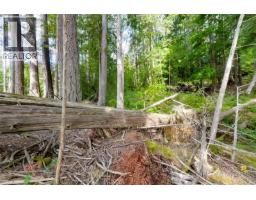 Lot 11 Katy's Cres, Shawnigan Lake, BC V0R2W0 Photo 27