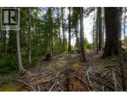 Lot 11 Katy's Cres, Shawnigan Lake, BC V0R2W0 Photo 29