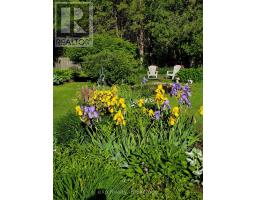 350144 Bayshore Road, Meaford, ON N0H1B0 Photo 39