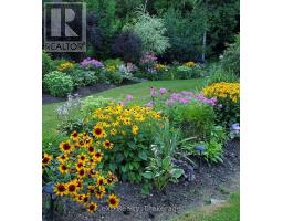 350144 Bayshore Road, Meaford, ON N0H1B0 Photo 42