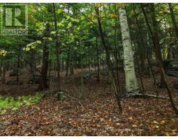 481 Gryffin Lodge Road, Huntsville, ON P0B1M0 Photo 7