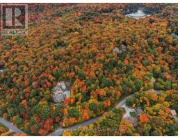 481 Gryffin Lodge Road, Huntsville, ON P0B1M0 Photo 8