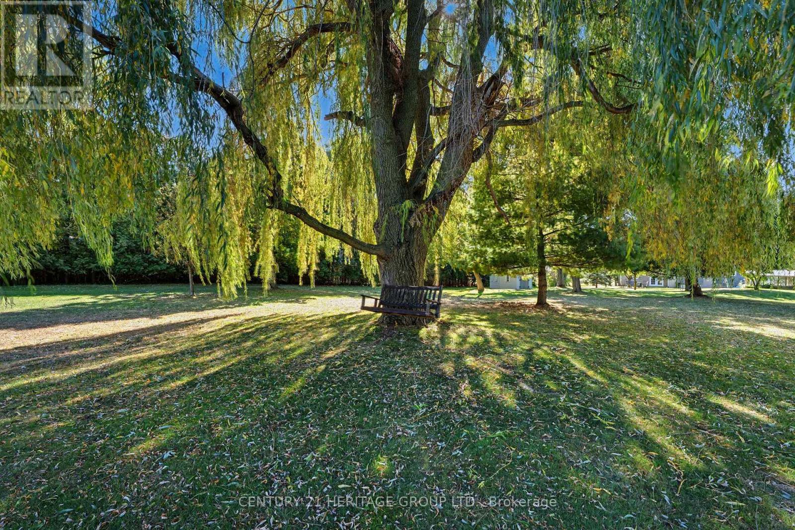 390 SYDENHAM ROAD - 39