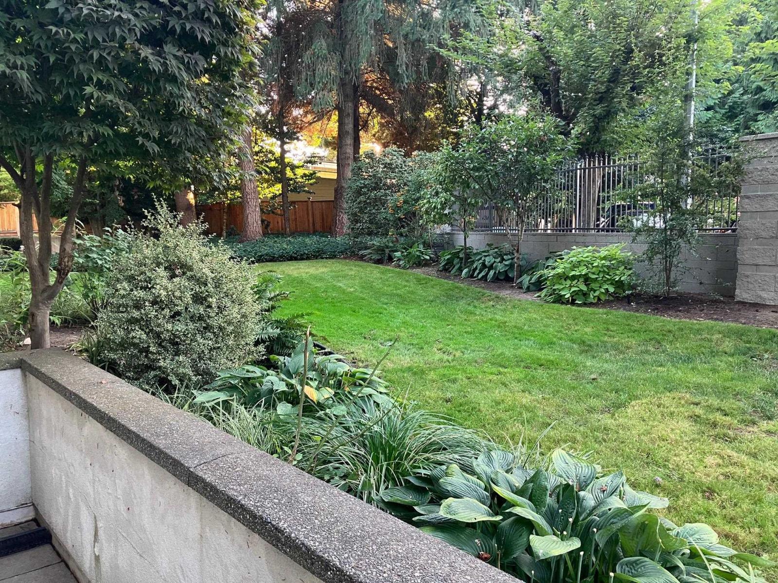 Photo 8 of 12