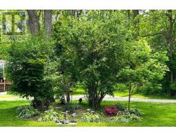 485b - 5139 Halstead Beach Road, Hamilton Township, ON K0L1E0 Photo 28