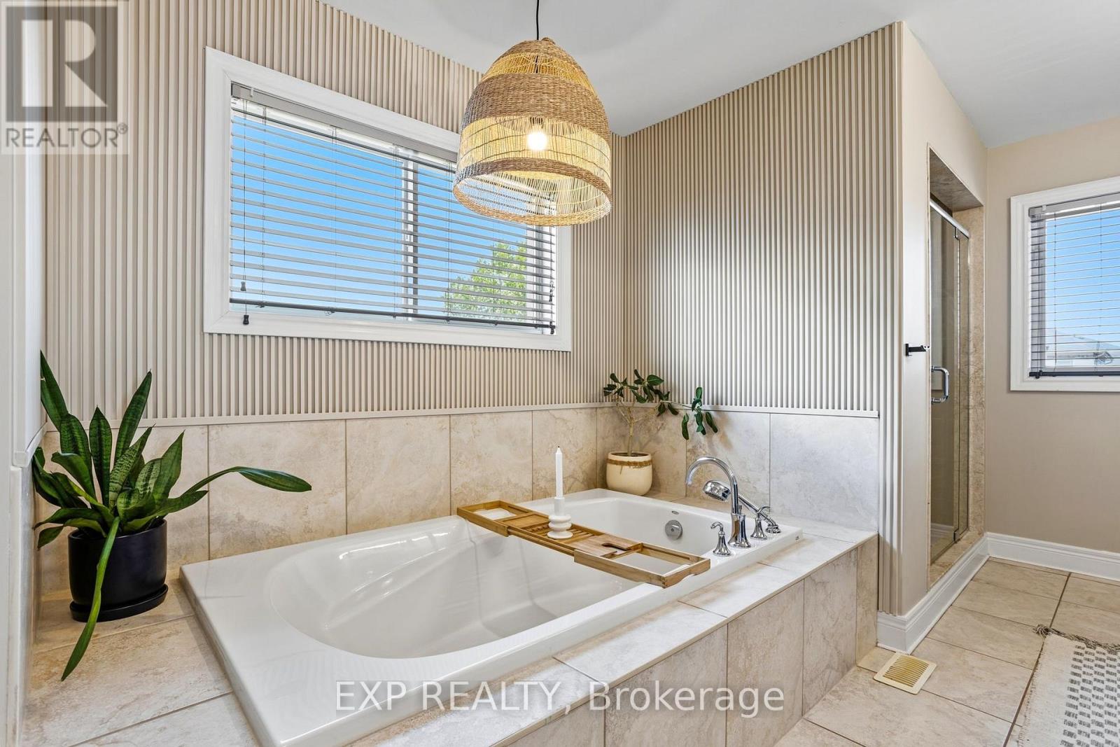 253 UPPER MOUNT ALBION ROAD - Image 28