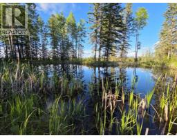 53507 Range Road 172, Rural Yellowhead County, AB T7E3L2 Photo 50