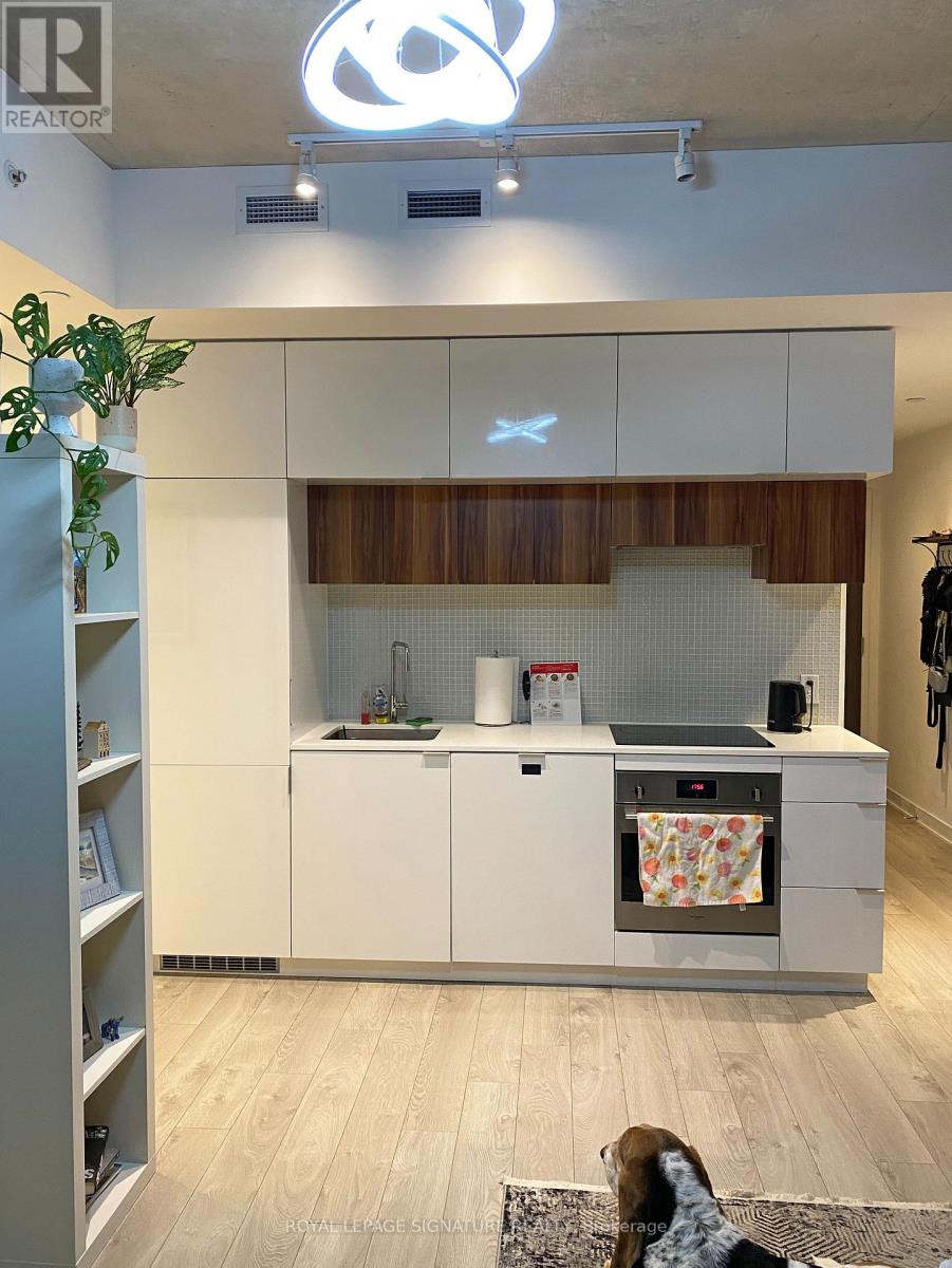 201 - 185 ROEHAMPTON AVENUE, Toronto (Mount Pleasant West) — photo 5