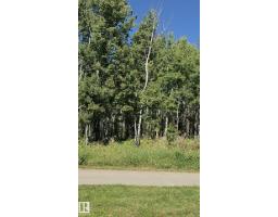 20104 19 Av Nw, Edmonton, AB T6M0X9 Photo 33