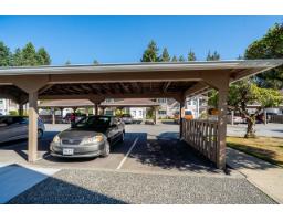 51 14840 100 Avenue, Surrey, BC V3R9M3 Photo 32