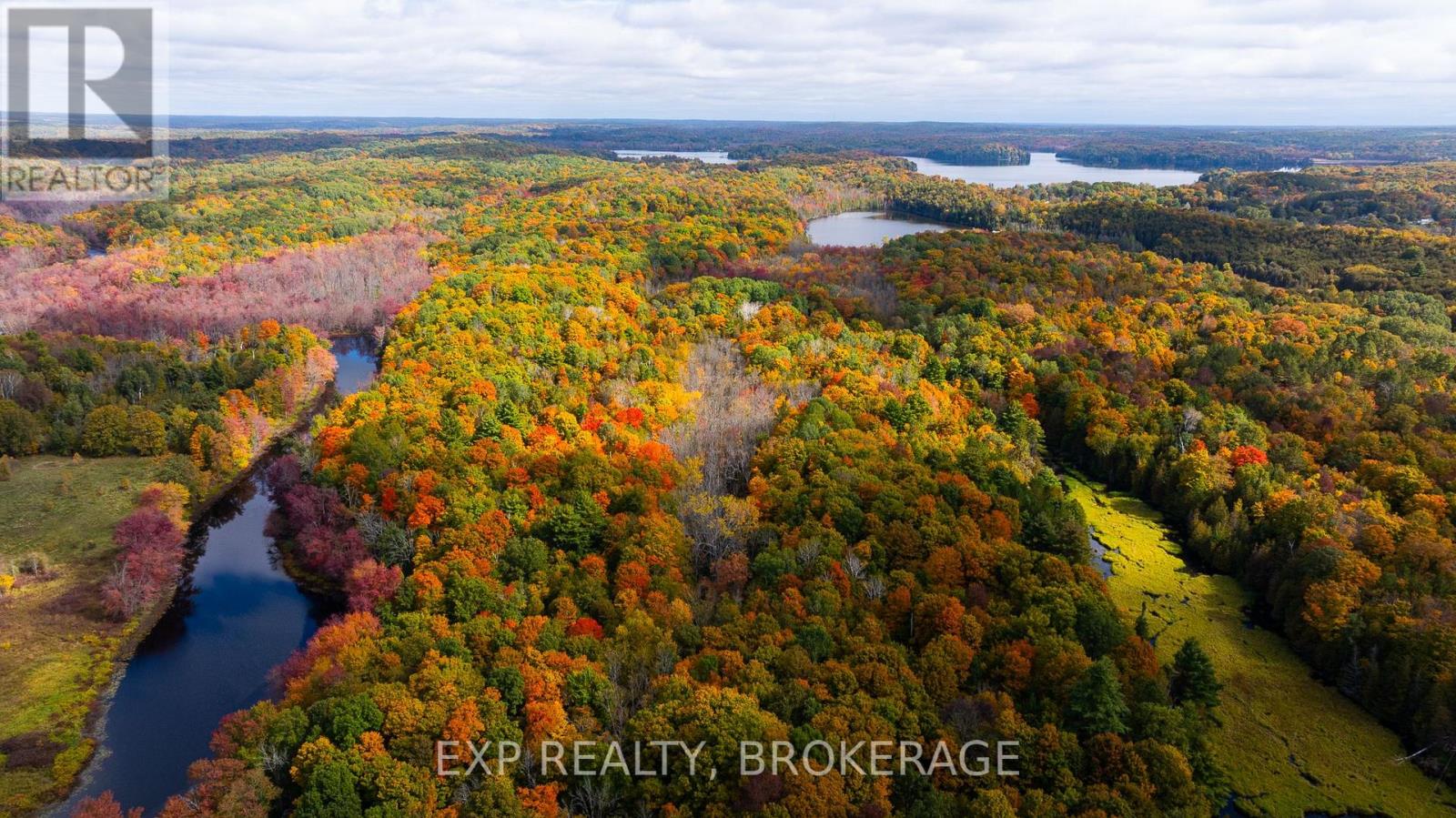 1256 ELM TREE ROAD - Image 18