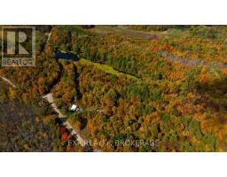 1256 Elm Tree Road, Frontenac, ON K0H1B0 Photo 16