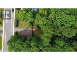 2174 Des Pins Street, The Nation, ON K4R1C5 Photo 42