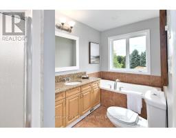 46 Donald Avenue, Clearview, ON L0M1P0 Photo 32