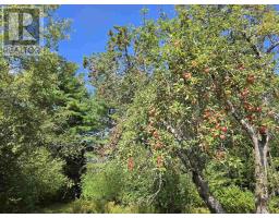 415 Old Harmony Road, Harmony Mills, NS B0T1B0 Photo 32
