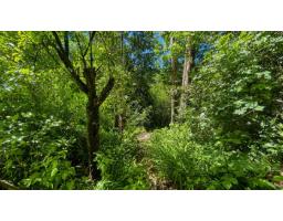 34150 Glenwill Street, Abbotsford, BC V2S1X6 Photo 12