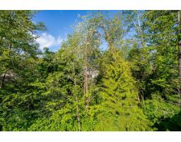 16908 1 Avenue, Surrey, BC V3Z9N8 Photo 22