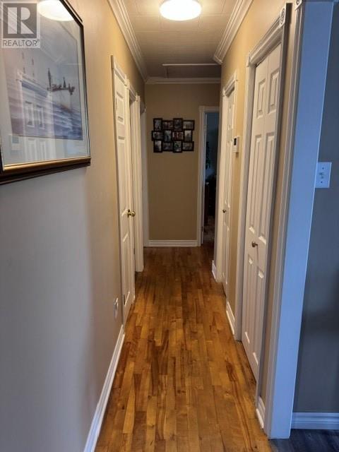 233 Elizabeth Drive - 15