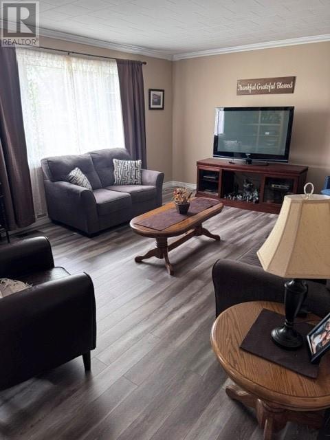 233 Elizabeth Drive - 25