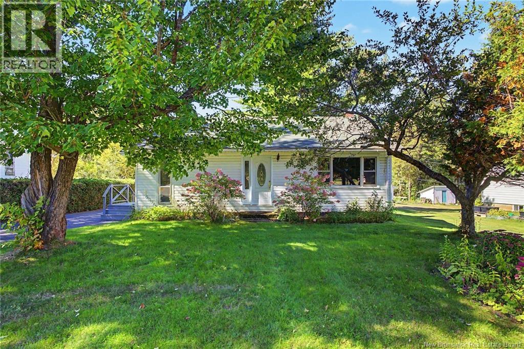 31 McLeod Avenue - 1